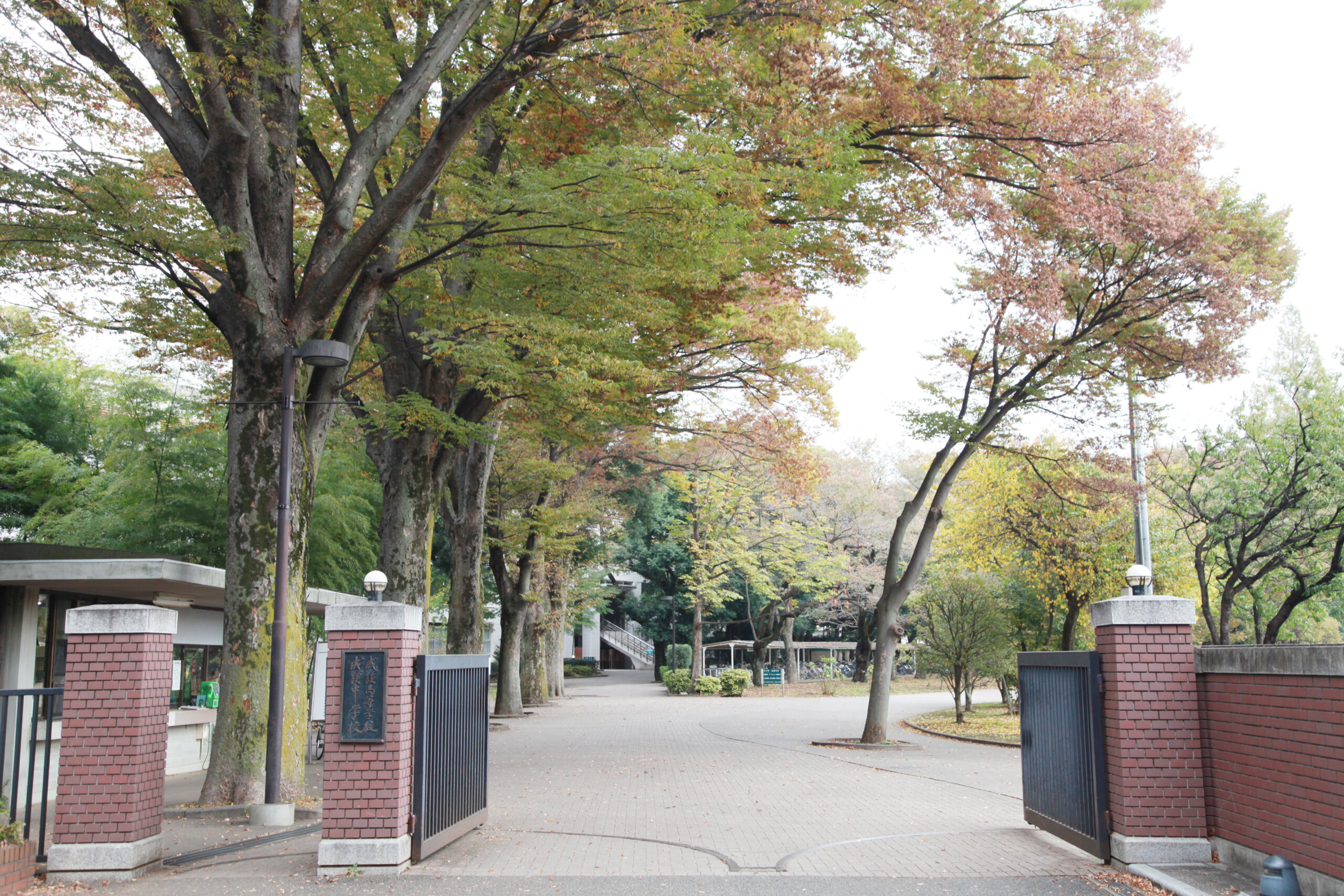 成蹊中学校 サッカー部