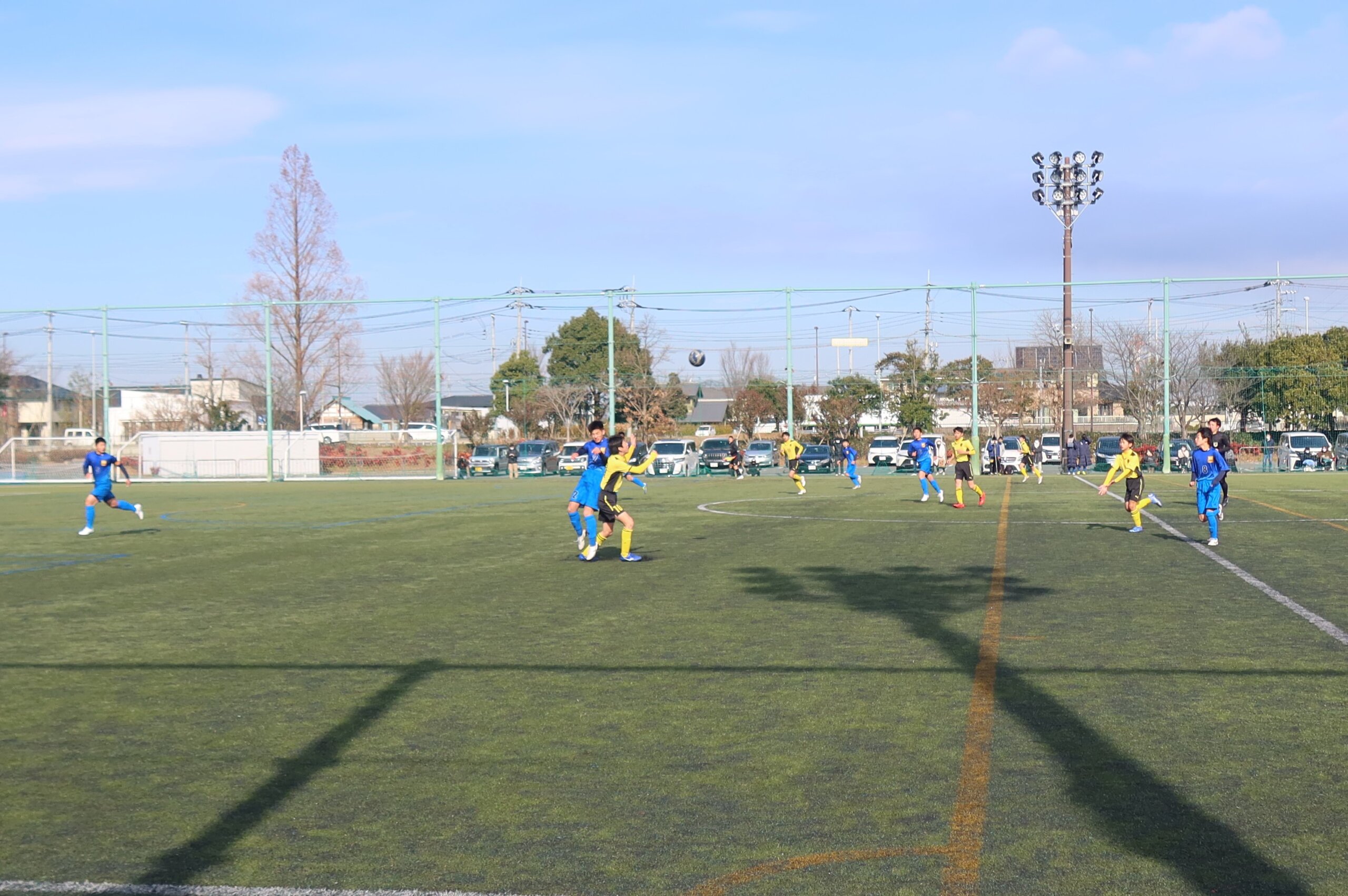 IMG_4208 (2)
