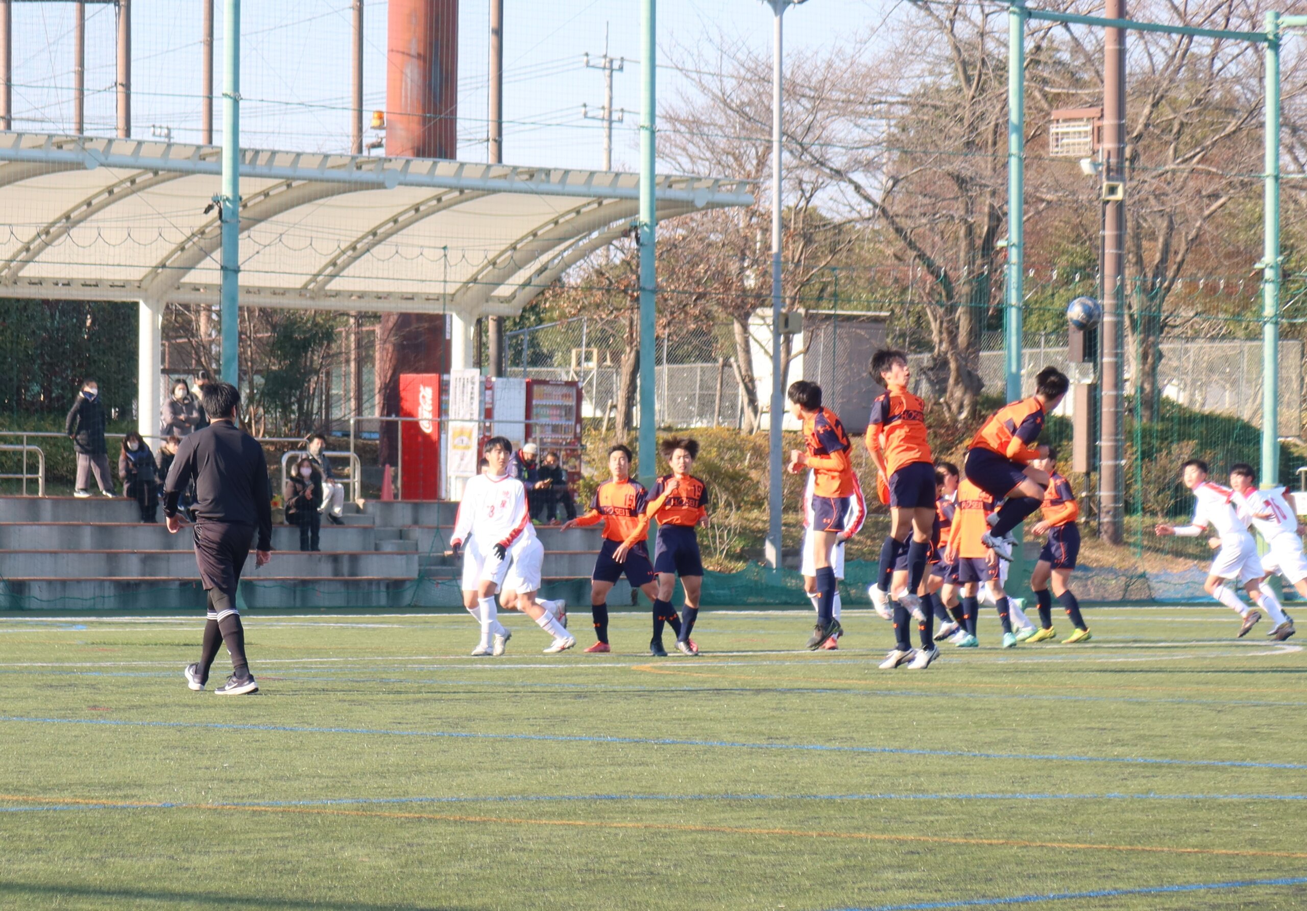 IMG_4235 (2)