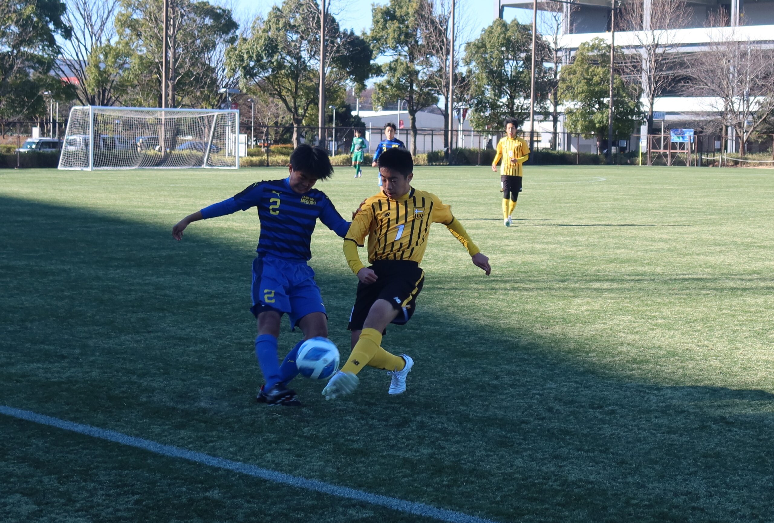 IMG_4327 (2)